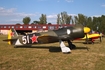 (Private) Yakovlev Yak-11 (D-FYAK) at  Bienenfarm, Germany