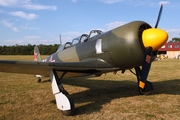 (Private) Yakovlev Yak-11 (D-FYAK) at  Bienenfarm, Germany