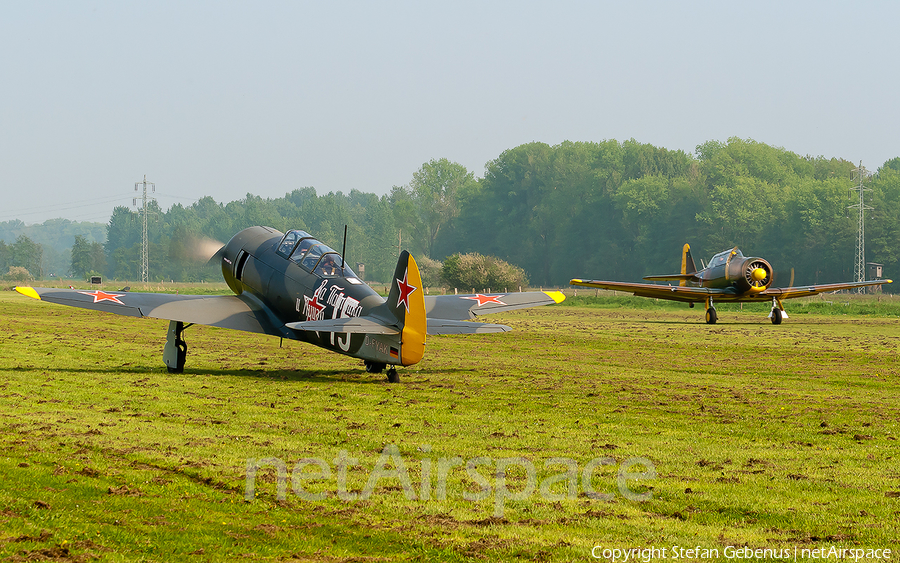 (Private) Yakovlev Yak-11 (D-FYAK) | Photo 2858