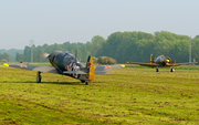 (Private) Yakovlev Yak-11 (D-FYAK) at  Bohmte - Bad Essen, Germany