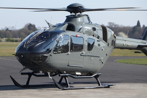 German Army (Heeresflieger) Eurocopter EC135 T3 (D-HABV) at  Bonn - Hangelar, Germany
