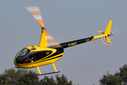 Air Lloyd Robinson R44 Raven (D-HALE) at  Ganderkesee, Germany