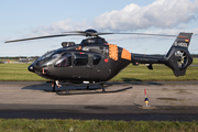 German Navy Eurocopter EC135 P2+ (D-HDDL) at  Nordholz - NAB, Germany