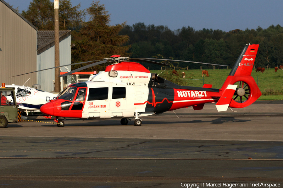 Heli-Flight Eurocopter AS365N3 Dauphin 2 (D-HJOH) | Photo 194664