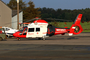 Heli-Flight Eurocopter AS365N3 Dauphin 2 (D-HJOH) at  Marl - Loemuhle, Germany