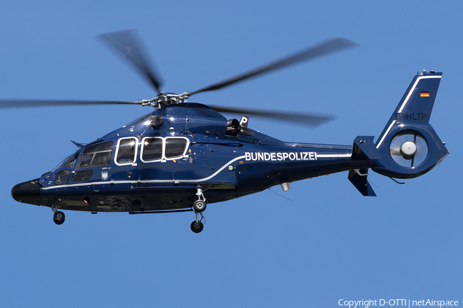 German Border Police Eurocopter EC155 B1 Dauphin (D-HLTP) | Photo 172740