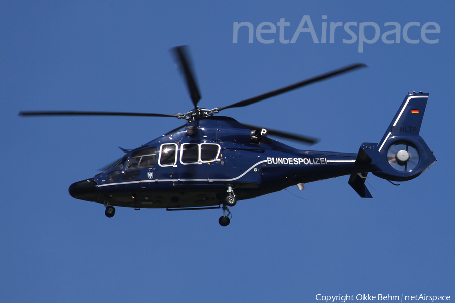 German Border Police Eurocopter EC155 B1 Dauphin (D-HLTP) | Photo 206577