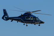 German Border Police Eurocopter EC155 B1 Dauphin (D-HLTT) at  Hamburg - Fuhlsbuettel (Helmut Schmidt), Germany