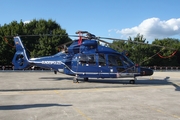 German Border Police Eurocopter EC155 B1 Dauphin (D-HLTT) at  Hamburg, Germany