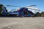 German Border Police Eurocopter EC155 B1 Dauphin (D-HLTT) at  Hamburg, Germany