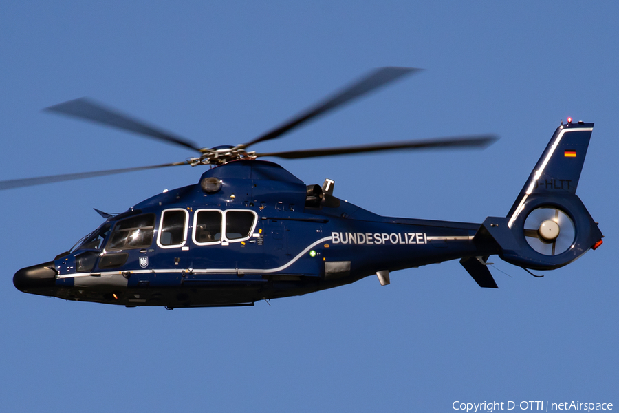 German Border Police Eurocopter EC155 B1 Dauphin (D-HLTT) | Photo 403302