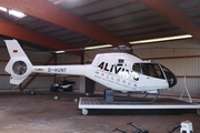 S.P. Helicopter Service Eurocopter EC120B Colibri (D-HUNT) at  Bonn - Hangelar, Germany