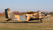 Skydive Soest Dornier Do 28 D-G.92 (D-IMOK) at  Soest - Bad Sassendorf, Germany