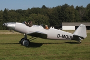 (Private) Junkers A50 Junior (D-MQUI) at  Neumuenster, Germany