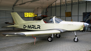 (Private) Alpi Pioneer 300 (D-MRLR) at  Grube, Germany