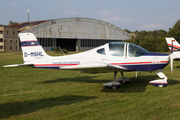 (Private) Tecnam P96-Golf 100 (D-MSHL) at  Neumuenster, Germany