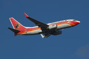 TAAG Angola Airlines Boeing 737-7M2 (D2-TBJ) at  Johannesburg - O.R.Tambo International, South Africa