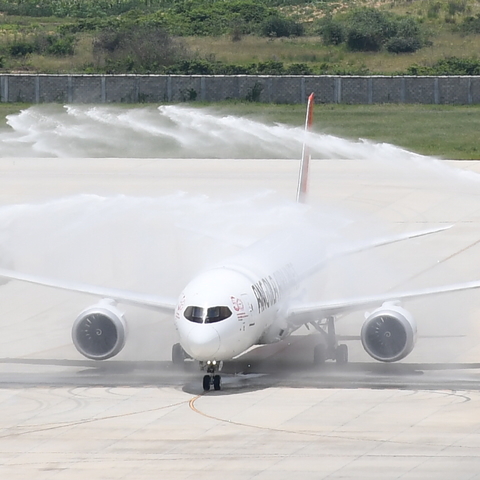 TAAG Angola Airlines Boeing 787-9 Dreamliner (D2-TEQ) at  Luanda - Dr Antonio Agostinho Neto International, Angola