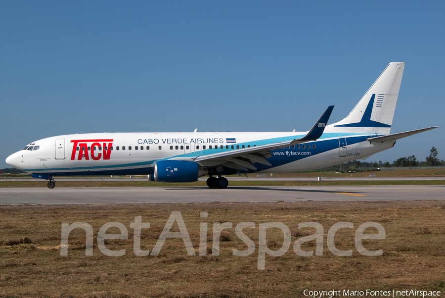 TACV - Cabo Verde Airlines Boeing 737-8Q8 (D4-CBX) | Photo 53693
