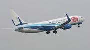 TACV - Cabo Verde Airlines Boeing 737-8Q8 (D4-CBX) at  Amsterdam - Schiphol, Netherlands