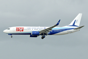 TACV - Cabo Verde Airlines Boeing 737-83N (D4-CBY) at  Miami - International, United States