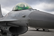 Royal Danish Air Force (Flyvevåbnet) General Dynamics F-16AM Fighting Falcon (E-599) at  Rostock-Laage, Germany