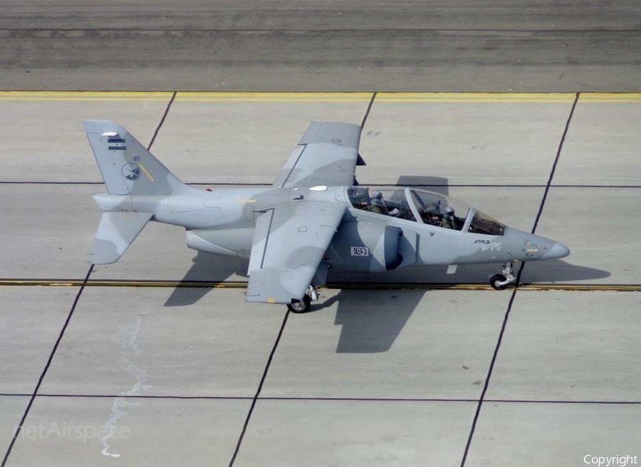 Argentine Air Force (Fuerza Aérea Argentina) FMA IA-63 Pampa II (E-821) | Photo 442390