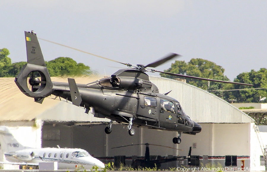 Brazilian Army (Exercito Brasileiro) Helibras HM-1 Pantera (EB-2021) | Photo 494054