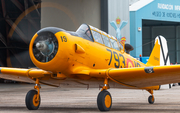 (Private) North American T-6G Texan (EC-DUN) at  Madrid - Cuatro Vientos, Spain