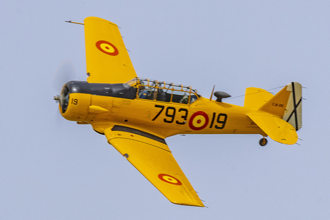 (Private) North American T-6G Texan (EC-DUN) at  Madrid - Cuatro Vientos, Spain