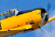 (Private) North American T-6G Texan (EC-DUN) at  Madrid - Cuatro Vientos, Spain