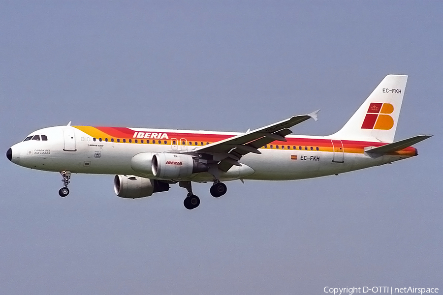 Iberia Airbus A320-211 (EC-FKH) | Photo 190674