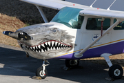 (Private) Cessna 172N Skyhawk (EC-FOO) at  Cascais Municipal - Tires, Portugal