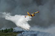 Compañía de Extinción General de Incendios (CEGISA) Canadair CL-215T (EC-GBS) at  Vila Real, Portugal