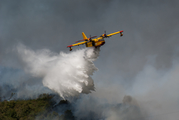 Compañía de Extinción General de Incendios (CEGISA) Canadair CL-215T (EC-GBS) at  Vila Real, Portugal