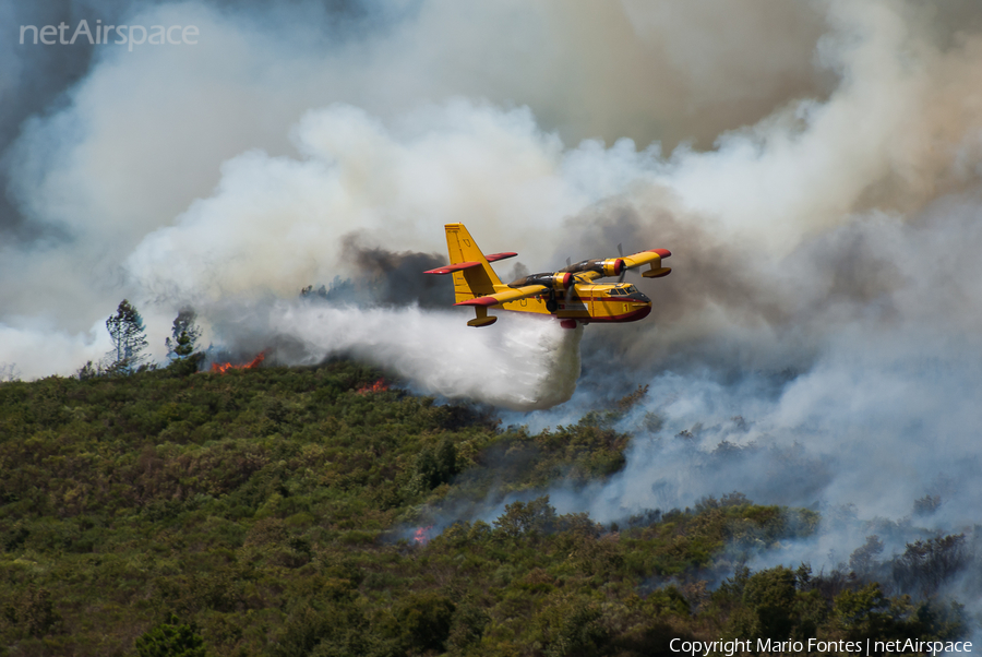 Compañía de Extinción General de Incendios (CEGISA) Canadair CL-215T (EC-GBS) | Photo 524123