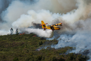 Compañía de Extinción General de Incendios (CEGISA) Canadair CL-215T (EC-GBS) at  Vila Real, Portugal