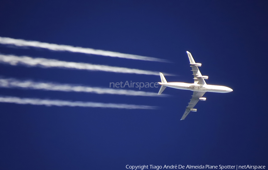 Iberia Airbus A340-313 (EC-GLE) | Photo 332244