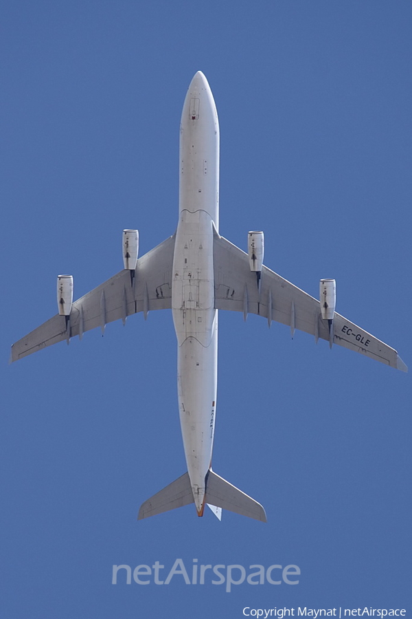 Iberia Airbus A340-313 (EC-GLE) | Photo 159040