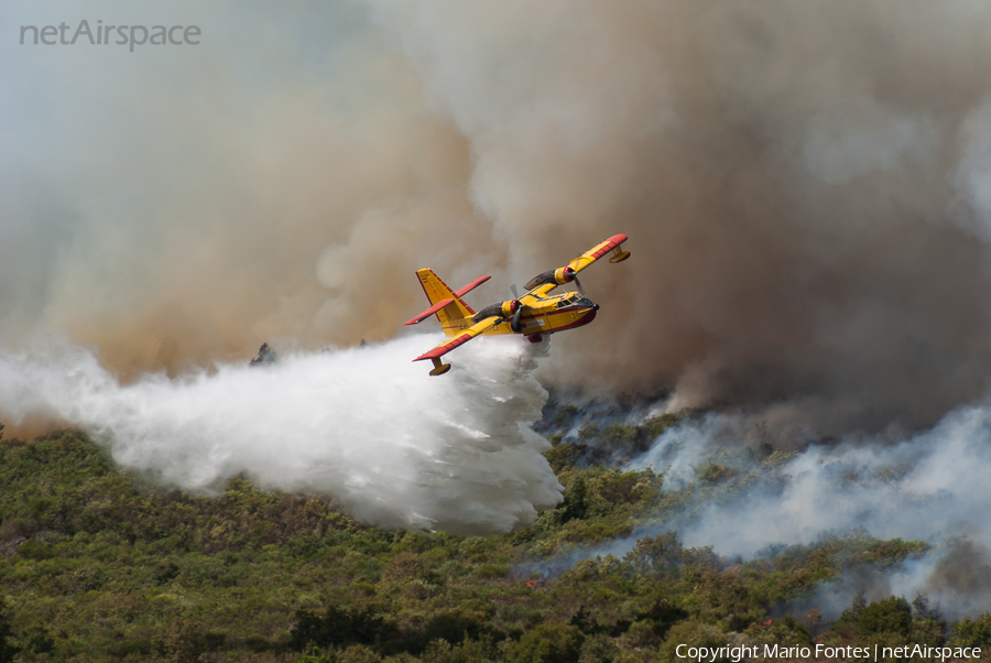 Compañía de Extinción General de Incendios (CEGISA) Canadair CL-215-1A10 (EC-HEU) | Photo 524112