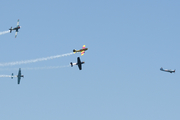 (Private) Yakovlev Yak-52 (EC-IAI) at  Estoril, Portugal