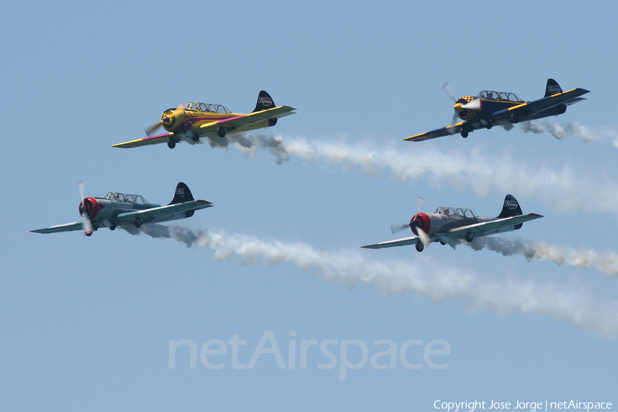(Private) Yakovlev Yak-52 (EC-IAL) | Photo 586817