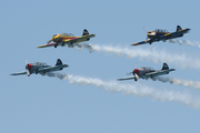 (Private) Yakovlev Yak-52 (EC-IAL) at  Estoril, Portugal