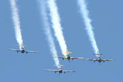 (Private) Yakovlev Yak-52 (EC-IAL) at  Estoril, Portugal