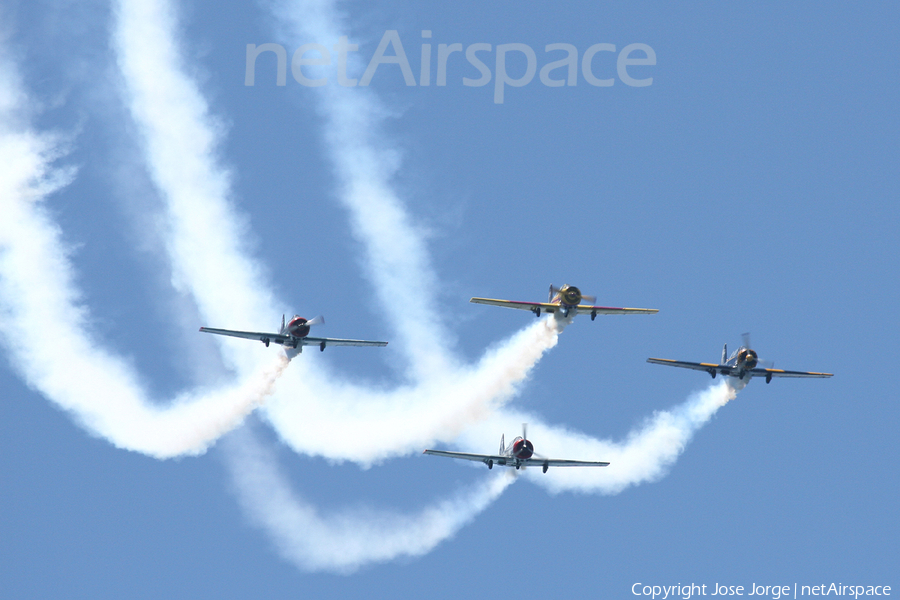 (Private) Yakovlev Yak-52 (EC-IAL) | Photo 586819