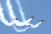 (Private) Yakovlev Yak-52 (EC-IAL) at  Estoril, Portugal