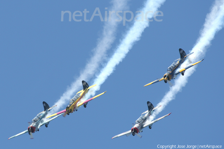 (Private) Yakovlev Yak-52 (EC-IAL) | Photo 586820