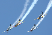 (Private) Yakovlev Yak-52 (EC-IAL) at  Estoril, Portugal