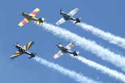 (Private) Yakovlev Yak-52 (EC-IAL) at  Estoril, Portugal