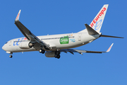 Air Europa Boeing 737-86Q (EC-IDA) at  Barcelona - El Prat, Spain